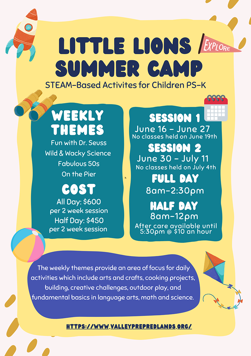 Little Lions Summer Camp Flyer