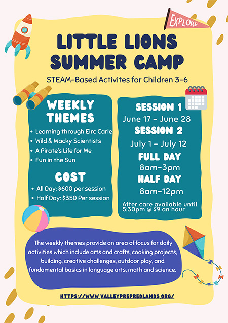 Little Lions Summer Camp Flyer (ages 3 to 6)